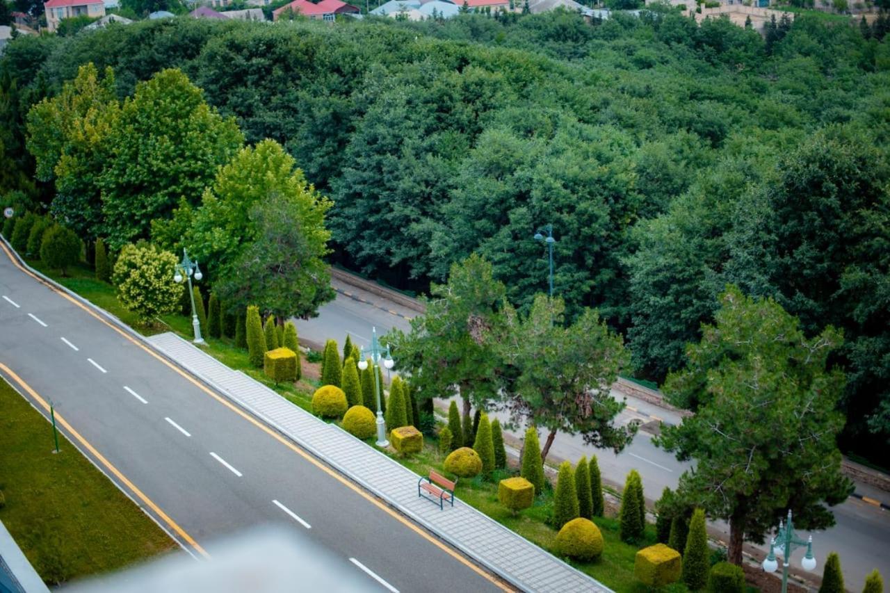 Ayan Palace Hotel Tovuz Екстериор снимка
